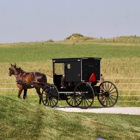 Medina Authorities Investigating String of Crimes Targeting Amish