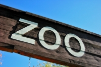 Columbus Zoo Allows Guests to Send Support to Animal Expert Jack Hanna