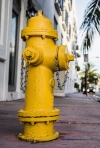 Discolored Water This Week As Akron Flushes Fire Hydrants