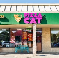 Business of the Week: Pizza Cat